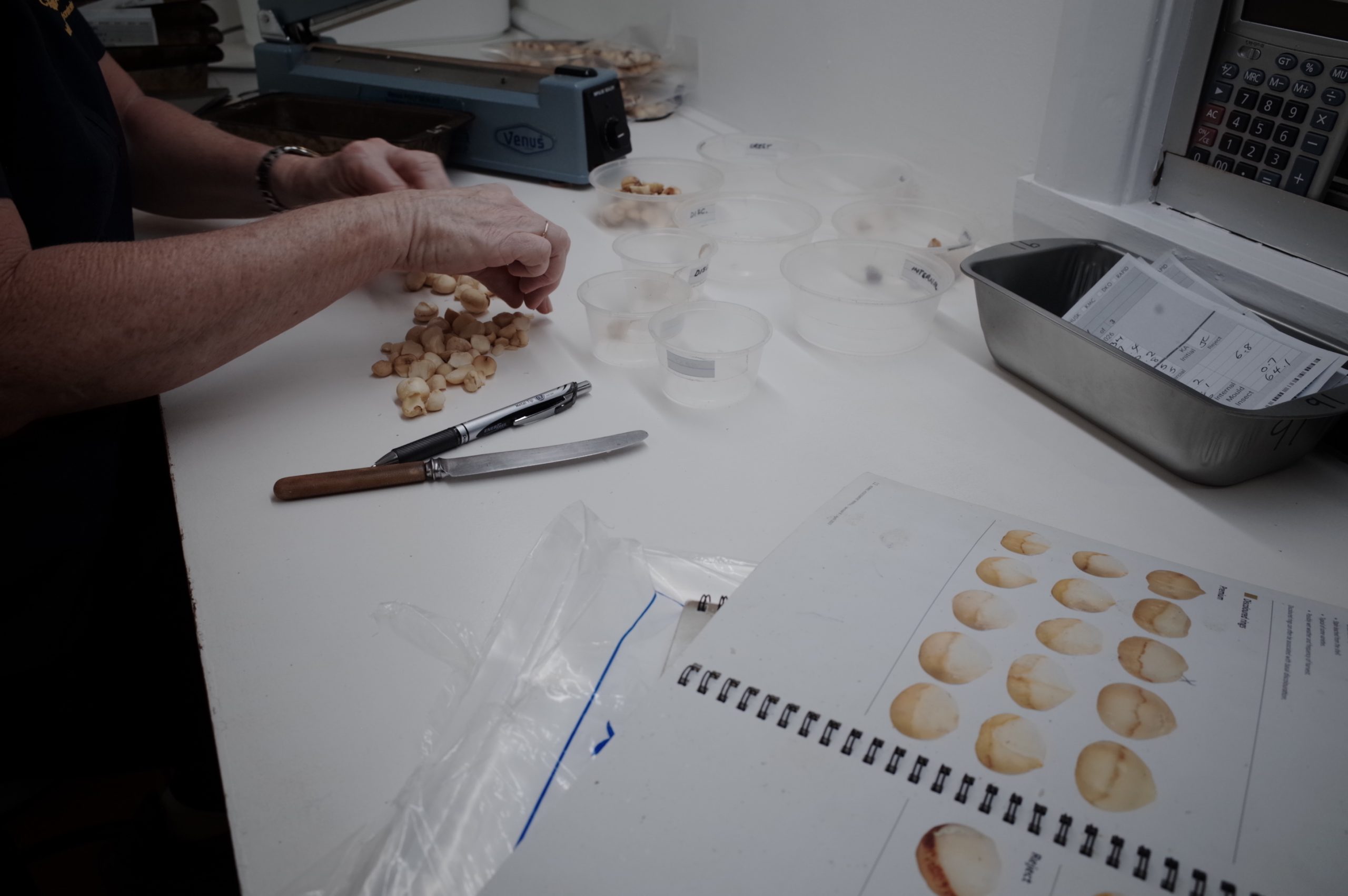 Kernel assessment at Cropwatch Laboratories