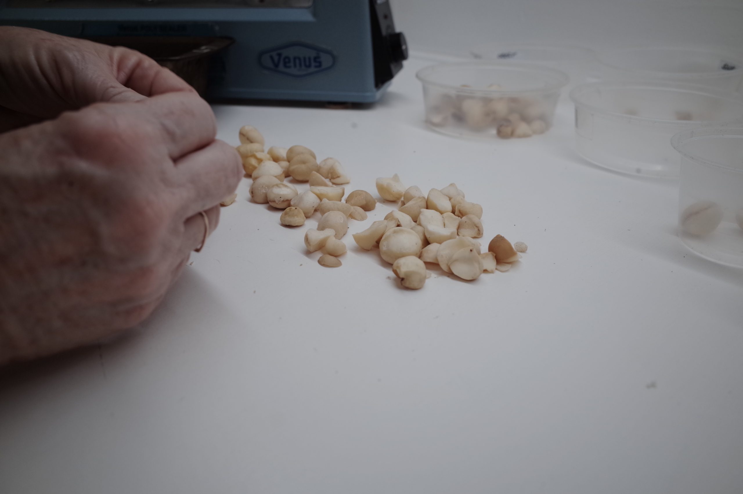 Testing in progress at Cropwatch Laboratories